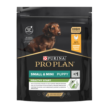 Pro Plan Puppy Small y Mini Pollo pienso para cachorros