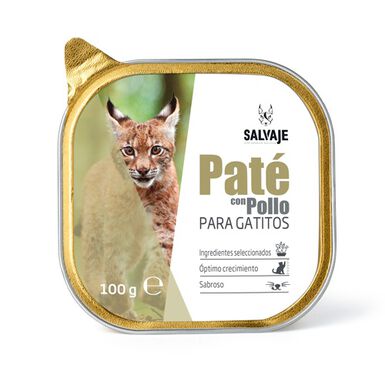Salvaje Pollo en Paté tarrina para gatitos