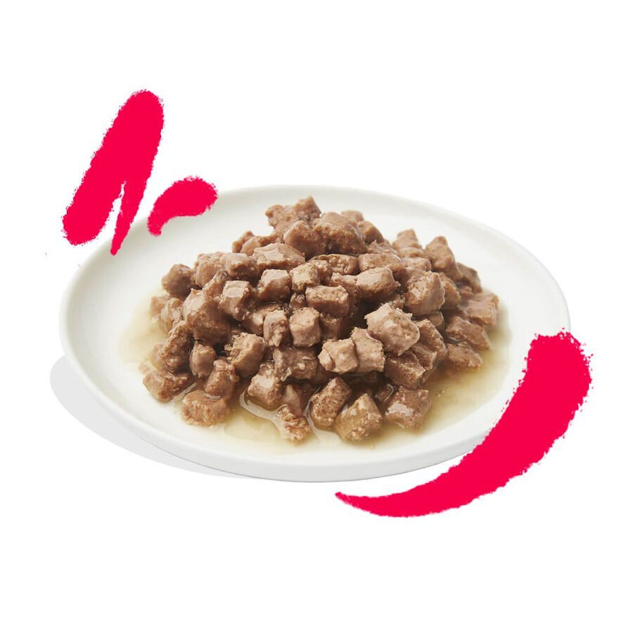 Edgard &amp; Cooper Senior Trocitos de Pollo y Pavo en Salsa lata para gatos thumbnail