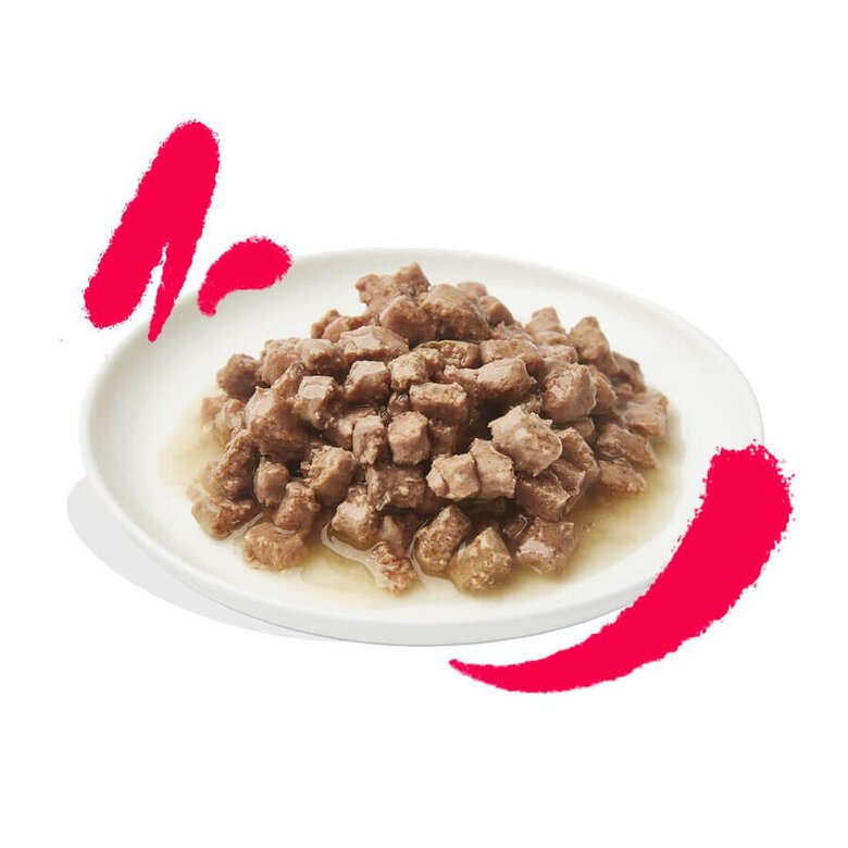 85 g Edgard & Cooper Senior Trocitos de Pollo y Pavo en Salsa lata para gatos,  Imagen numero 2 85 g Edgard & Cooper Senior Trocitos de Pollo y Pavo en Salsa lata para gatos, , large Imagen numero 2