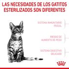 Royal Canin Kitten Sterilised pienso para gatos, , large image number null