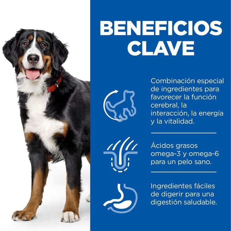 Hill&#039;s Science Plan Youthful vitality Large pienso para perros thumbnail
