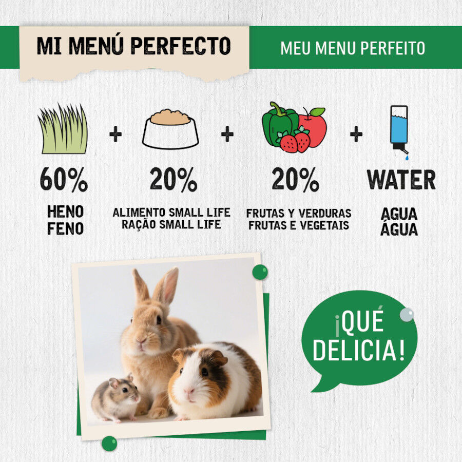 Small Life Heno Natural para roedores, , large Imagen numero 3