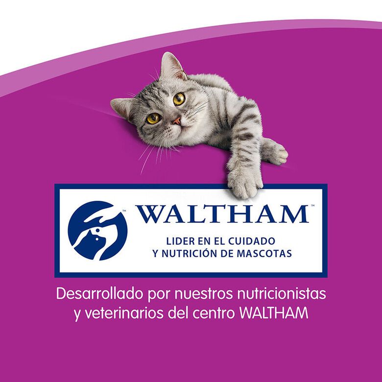 Whiskas Sticks Snacks Pollo para Gatos thumbnail