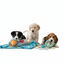All For Paws Pups Kit de Juego para cachorros, , large indicador imagen numero 3