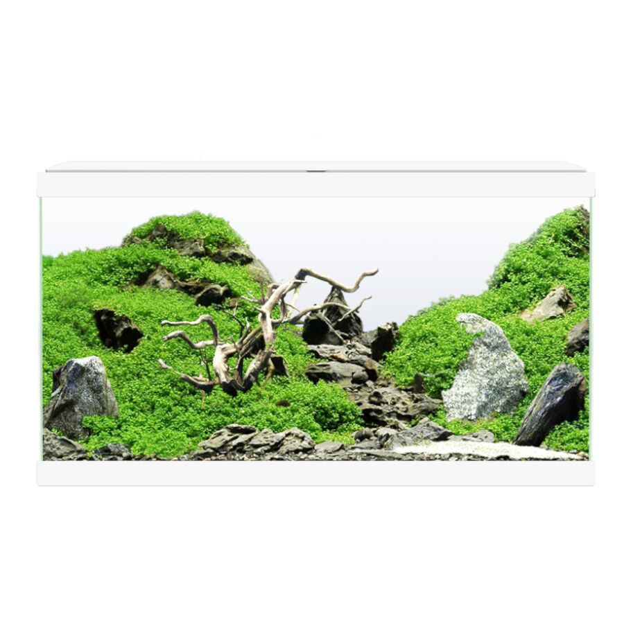 Ciano Aqua Led 60 Blanco acuario con luz led, filtro y calentador thumbnail