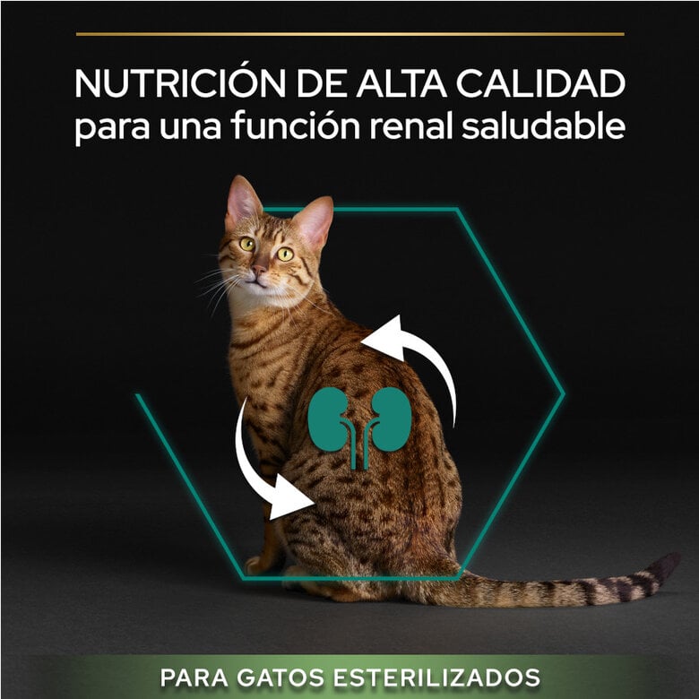 10 kg Pro Plan Adult Sterilized Salmón Pienso para gatos,  Imagen numero 5 10 kg Pro Plan Adult Sterilized Salmón Pienso para gatos, , large Imagen numero 5