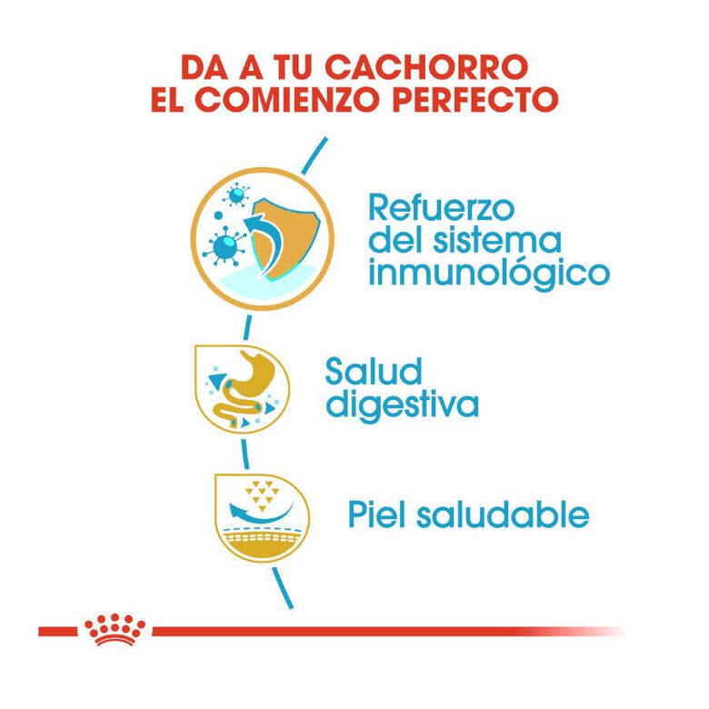 Royal Canin Puppy French Bulldog pienso para perros thumbnail