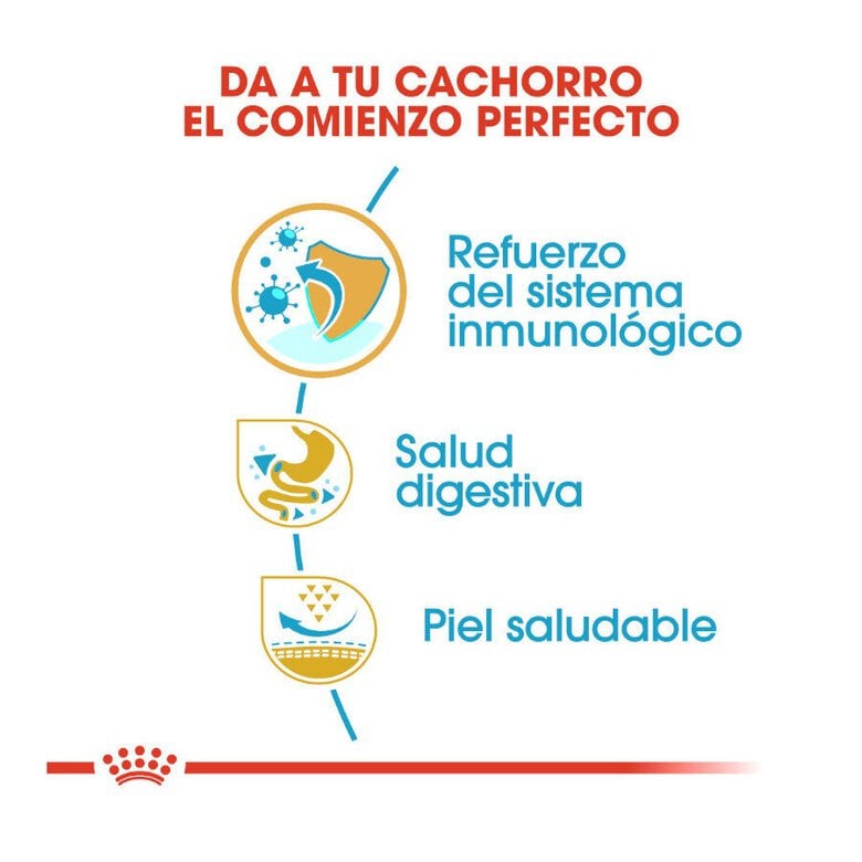 10 kg Royal Canin Puppy French Bulldog pienso para perros,  Imagen numero 6 10 kg Royal Canin Puppy French Bulldog pienso para perros, , large Imagen numero 6