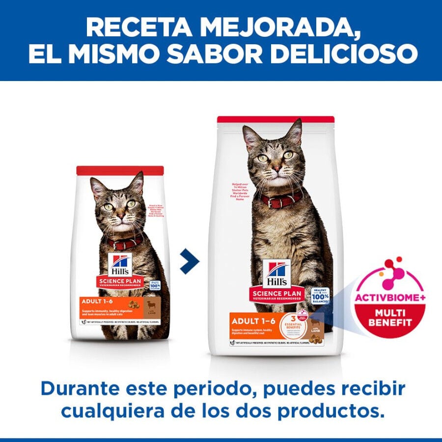10 kg Hill's Science Plan Adult Cordero pienso para gatos, , large Imagen numero 3
