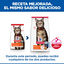 10 kg Hill's Science Plan Adult Cordero pienso para gatos, , large indicador imagen numero 3