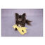 Flamingo Pebbles Jirafa de Peluche Amarilla para perros, , large indicador imagen numero 2