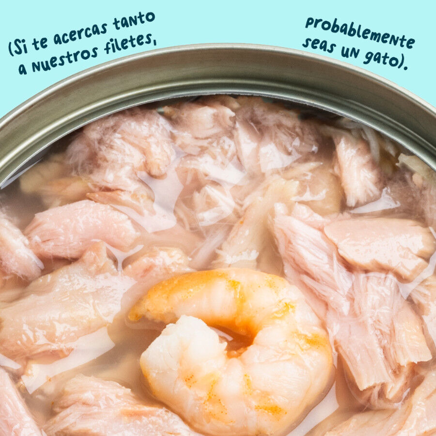 70 g Edgard & Cooper Filetes de At&uacute;n y Gambas lata para gatos, , large Imagen numero 5