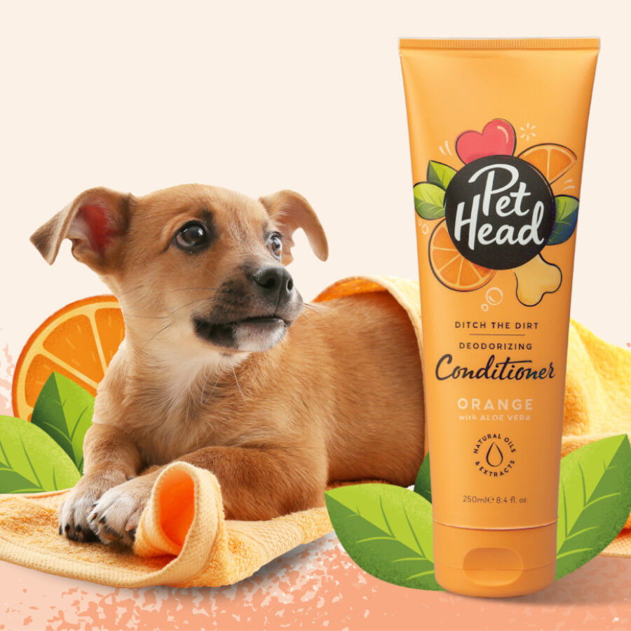 Pet Head acondicionador desodorante de naranja para perros, , large Imagen numero 2