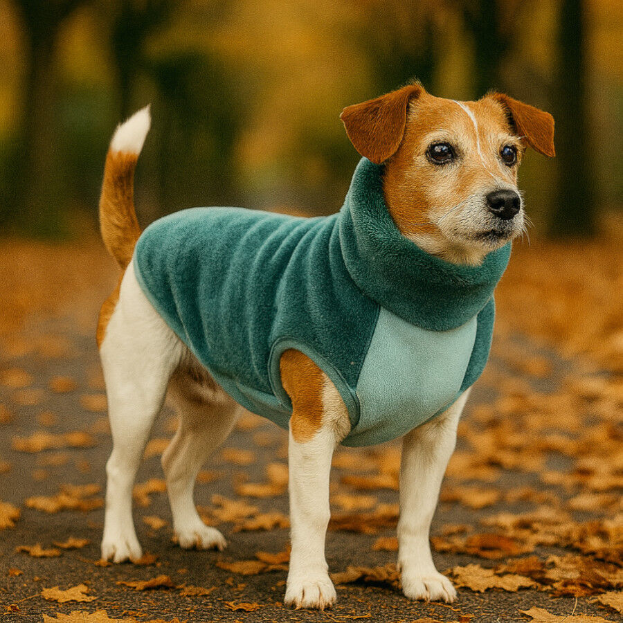 Outech Forro Polar Aguamarina para perros thumbnail