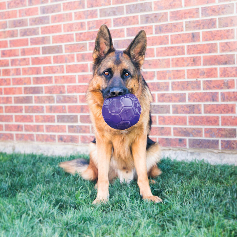 Kong Flexball Pelota para perros thumbnail