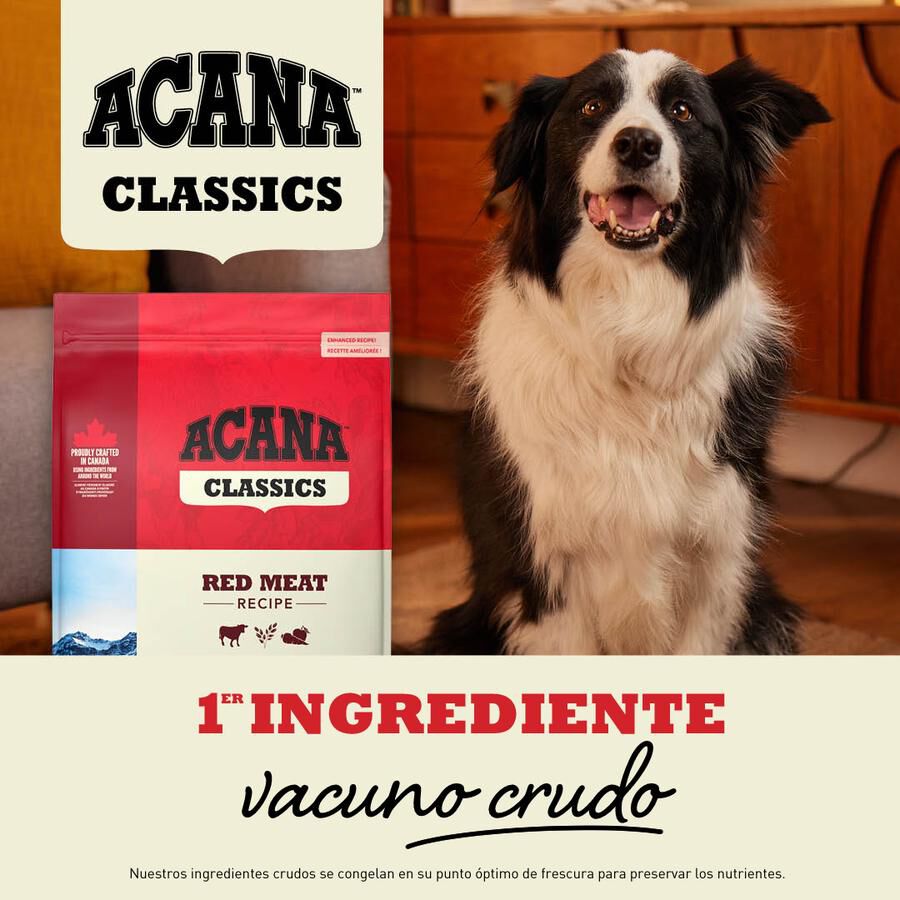 Acana Classics Red Meat pienso para perros thumbnail
