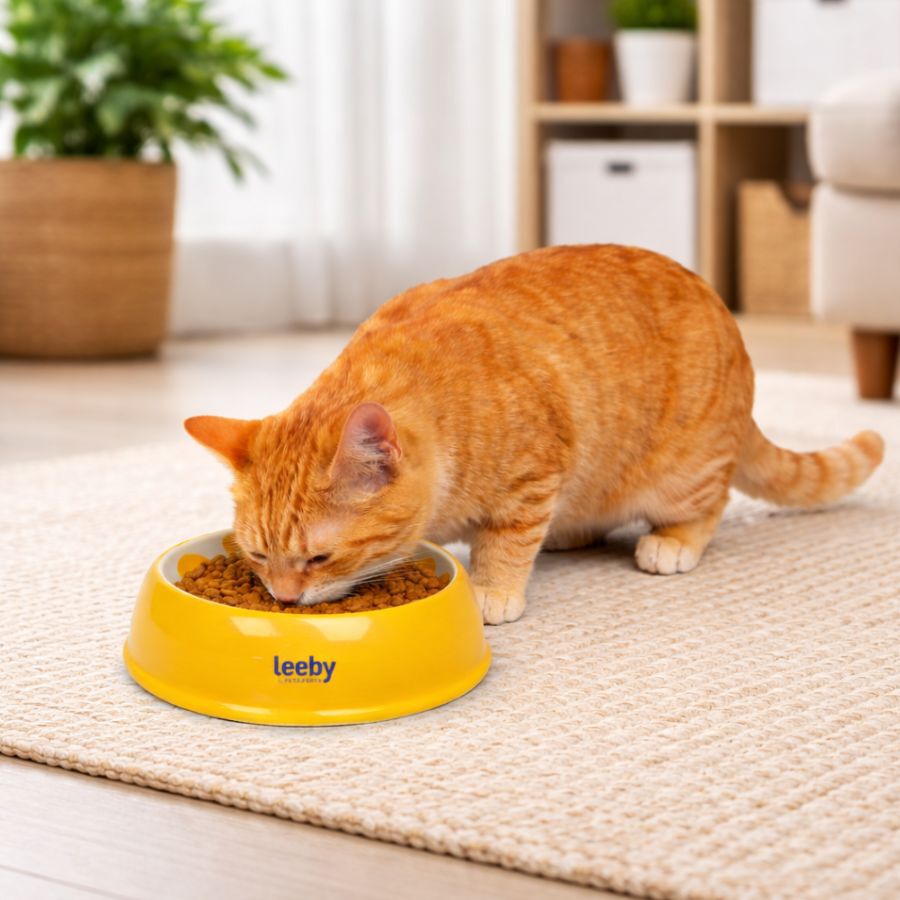 Leeby Comedero de Cer&aacute;mica Estampado Lim&oacute;n para gatos, , large Imagen numero 1