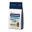 12 kg Advance Active Defense Sensitive Cordero y Arroz pienso para perros, , large indicador imagen numero 1