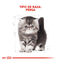 10 kg Royal Canin Kitten Persia pienso para gatos, , large indicador imagen numero 4