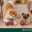 Wonder Christmas Hueso y Pelota Juguete para perros, , large indicador imagen numero 2