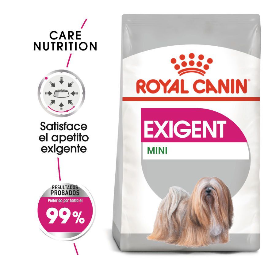 3 kg Royal Canin Exigent Mini pienso para perros, , large Imagen numero 2