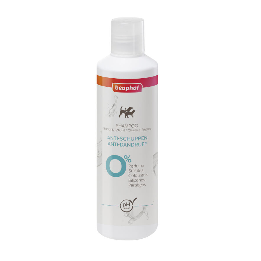 Beaphar Champú Anticaspa para perros y gatos