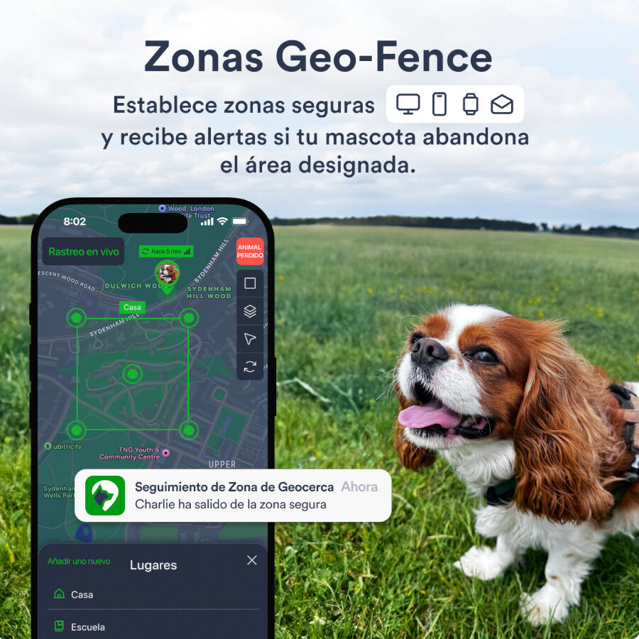 Trackimo Localizador GPS Petloc8 4G para perros y gatos, , large Imagen numero 6