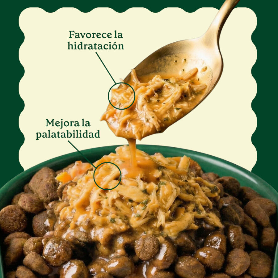85 g Wild Balance Toppers Pollo salsa para perros, , large Imagen numero 5
