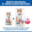 15 kg Hill's Science Plan Sterilised Adult Pollo pienso para gatos, , large indicador imagen numero 3