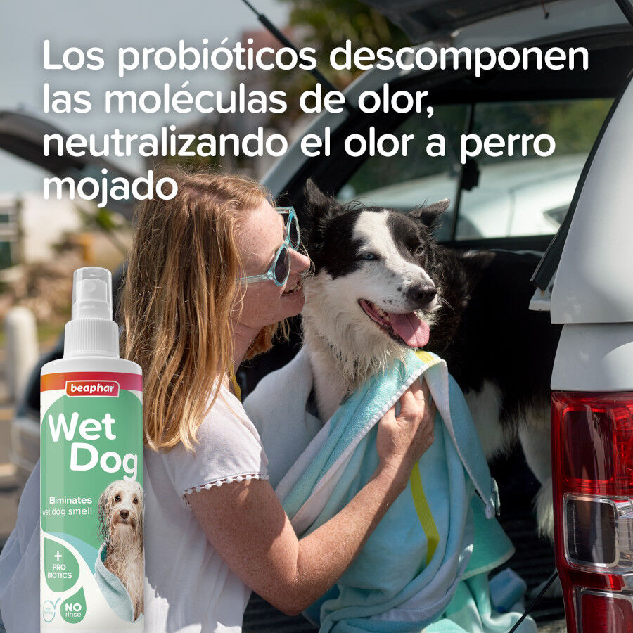 Beaphar Wet dog spray antiolor para perros, , large Imagen numero 3