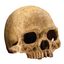 Exoterra Refugio calavera para terrarios, , large indicador imagen numero 1