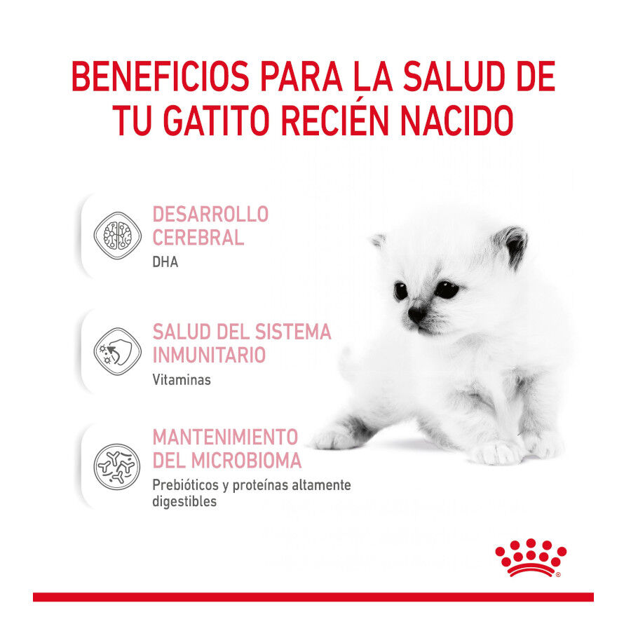 300 g Royal Canin Leche para gatitos primer a&ntilde;o, , large Imagen numero 6