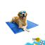 Summer Vibes Manta Refrescante Azul para perros, , large indicador imagen numero 6
