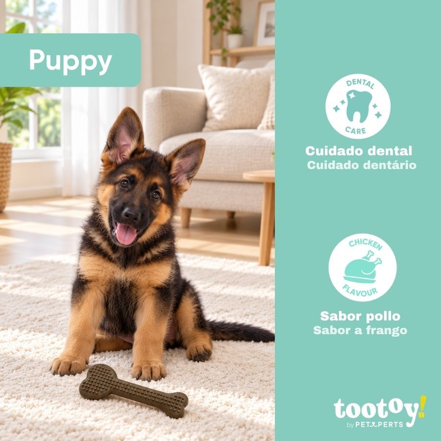 Tootoy! Puppy Hueso Llave Coraz&oacute;n Marr&oacute;n Juguete para perros, , large Imagen numero 4