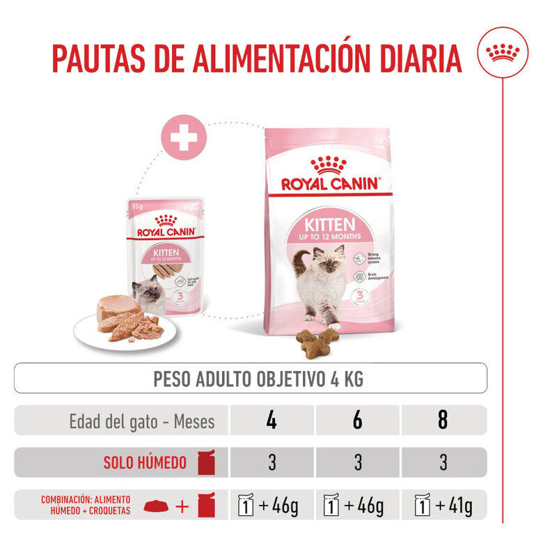 85 g Royal Canin Kitten paté sobre para gatos,  Imagen numero 8 85 g Royal Canin Kitten paté sobre para gatos, , large Imagen numero 8