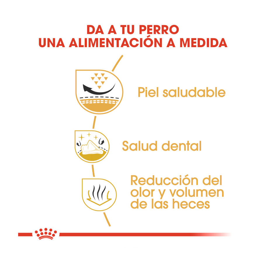 Royal Canin Adult Shih Tzu pienso para perros thumbnail