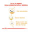 3 kg Royal Canin Adult Shih Tzu pienso para perros , , large indicador imagen numero 6