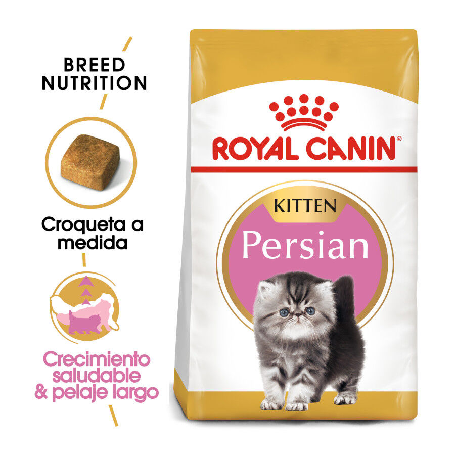 Royal Canin Kitten Persia pienso para gatos thumbnail