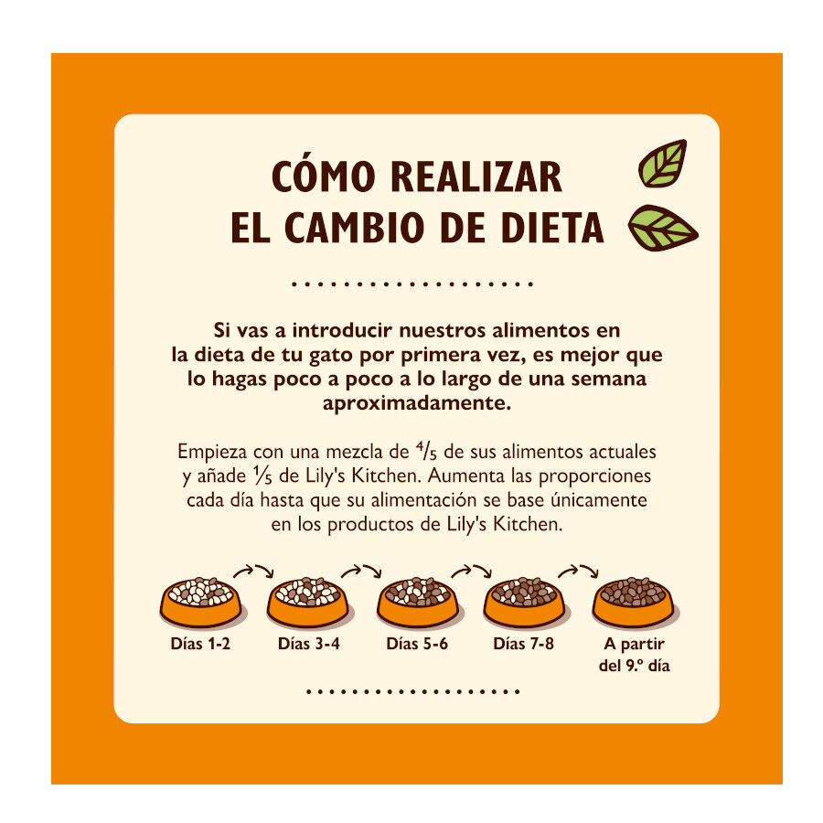 4 kg Lily's Kitchen Grain Free Pollo pienso para gatos, , large Imagen numero 5