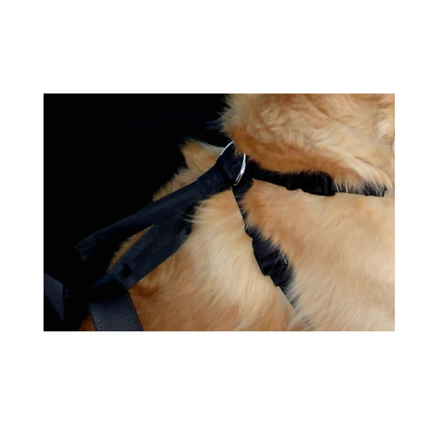 Flamingo Arn&eacute;s de Coche para perros, , large Imagen numero 2