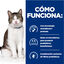 82 g Hill’s Prescription Diet Gastrointestinal Biome Stress estofado lata para gatos, , large indicador imagen numero 5