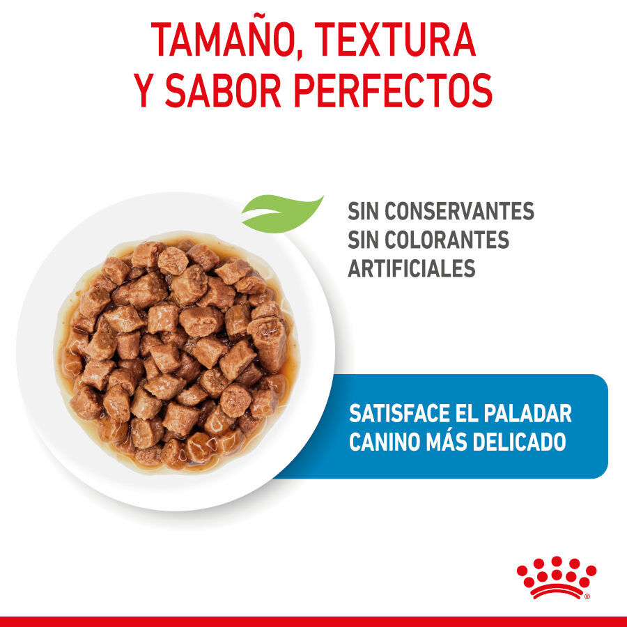 Royal Canin X-Small Puppy Trocitos en Salsa sobre para perros thumbnail