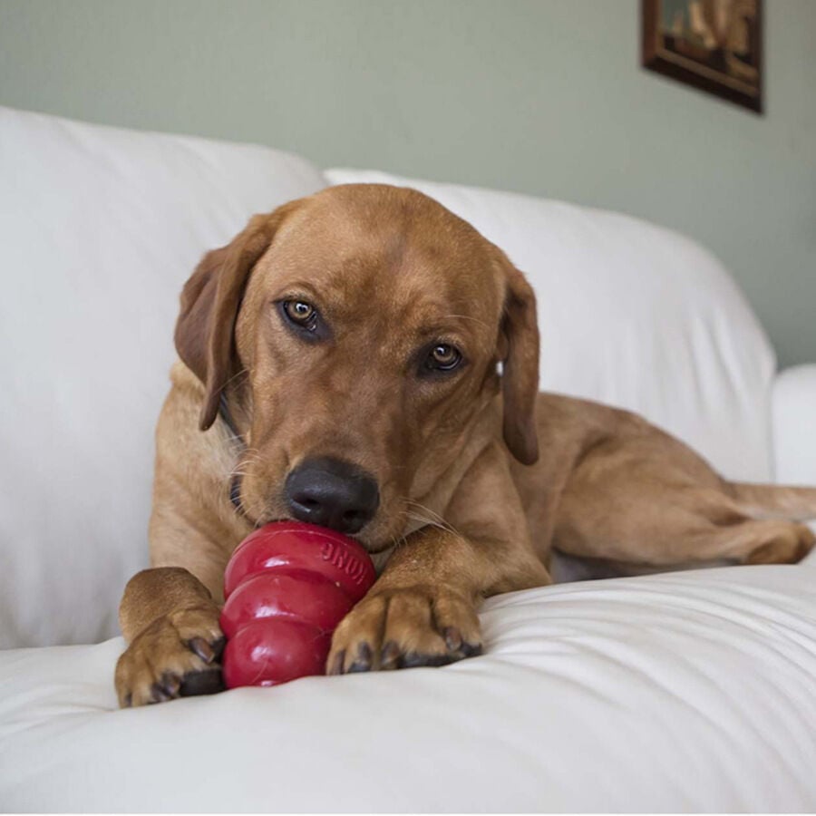 S Kong Bocaditos Tocino y Queso para perros, , large Imagen numero 3