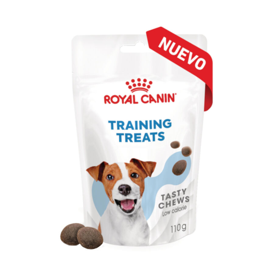 4 bolsitas x 110 g Royal Canin Training Treats Snacks para perros &iexcl;Pack Ahorro!, , large Imagen numero 1