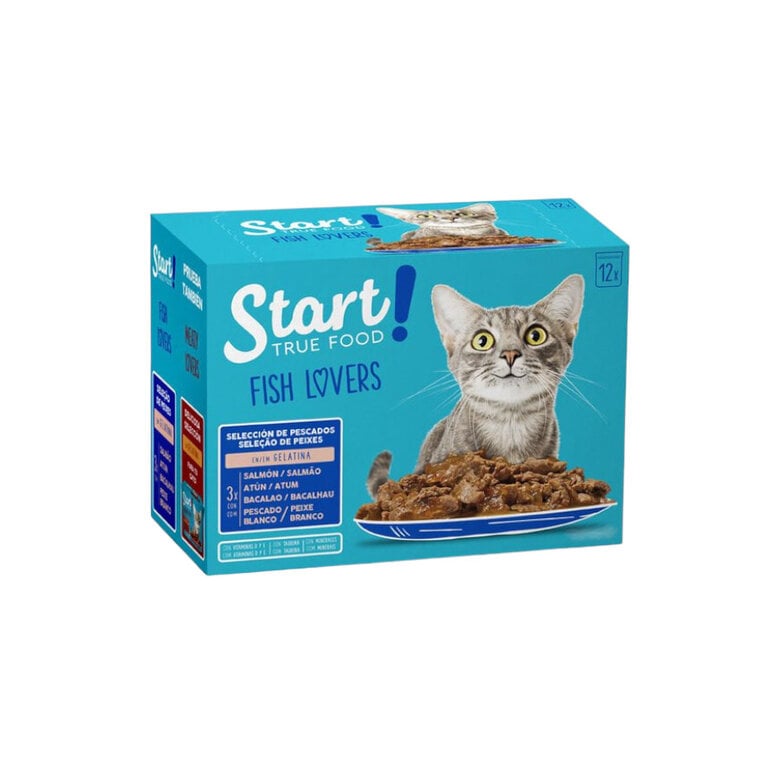 48 sobres x 100 g Start Cat Selección de Pescados sobres en gelatina para gatos,  Imagen numero 1 48 sobres x 100 g Start Cat Selección de Pescados sobres en gelatina para gatos, , large Imagen numero 1
