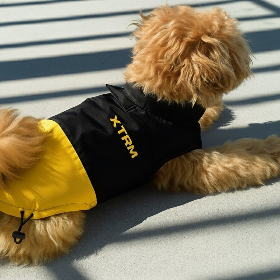 Nayeco X-TRM Chubasquero Negro y Amarillo para perros thumbnail