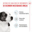 8 kg Royal Canin Mini Puppy pienso para perros, , large indicador imagen numero 3