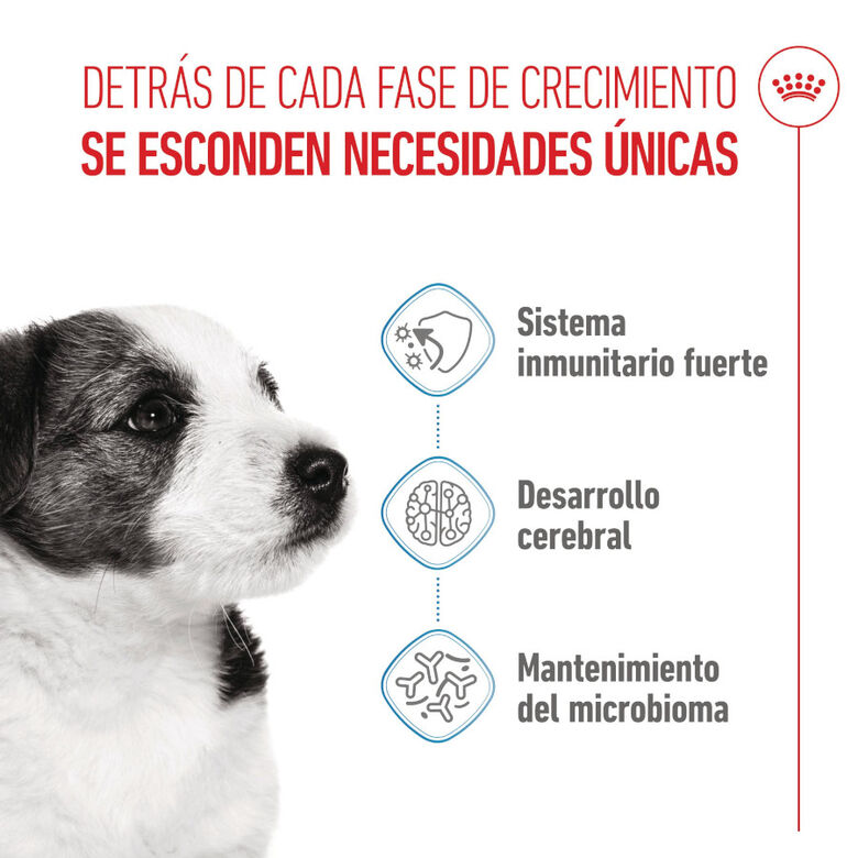 Royal Canin Mini Puppy pienso para perros thumbnail