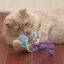 Kong Occasions Birthday Teddy Oso de peluche para gatos, , large indicador imagen numero 2